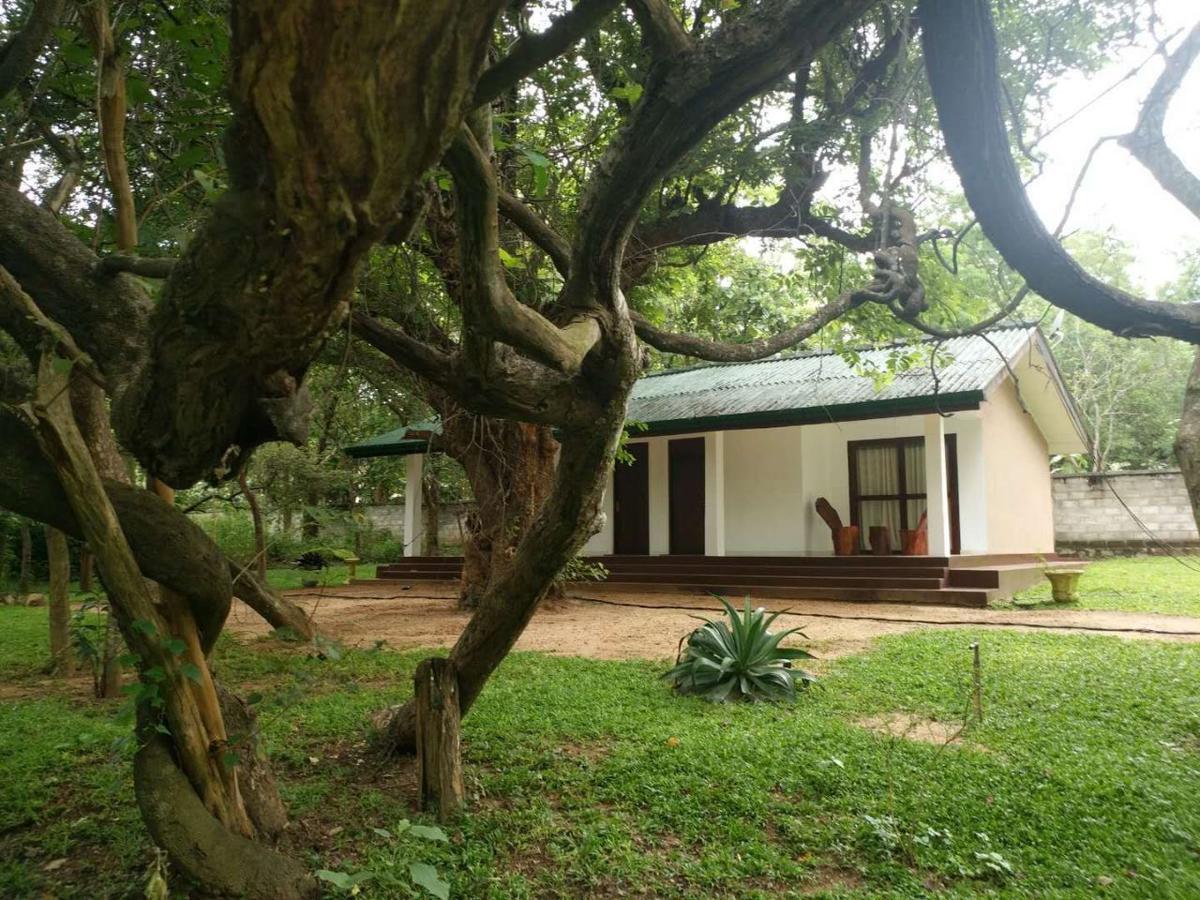 Eighth Wonder Resort Sigiriya Exterior foto
