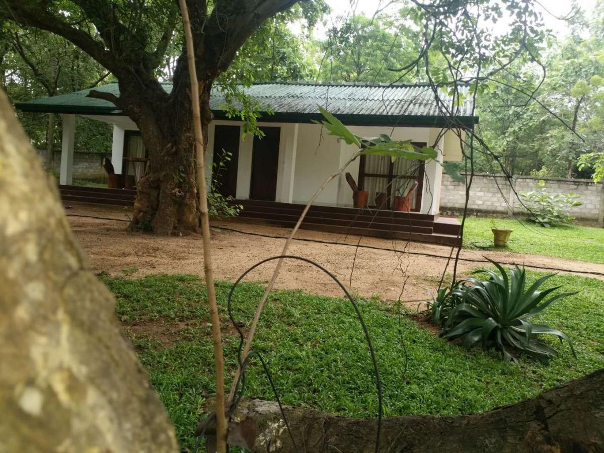 Eighth Wonder Resort Sigiriya Exterior foto