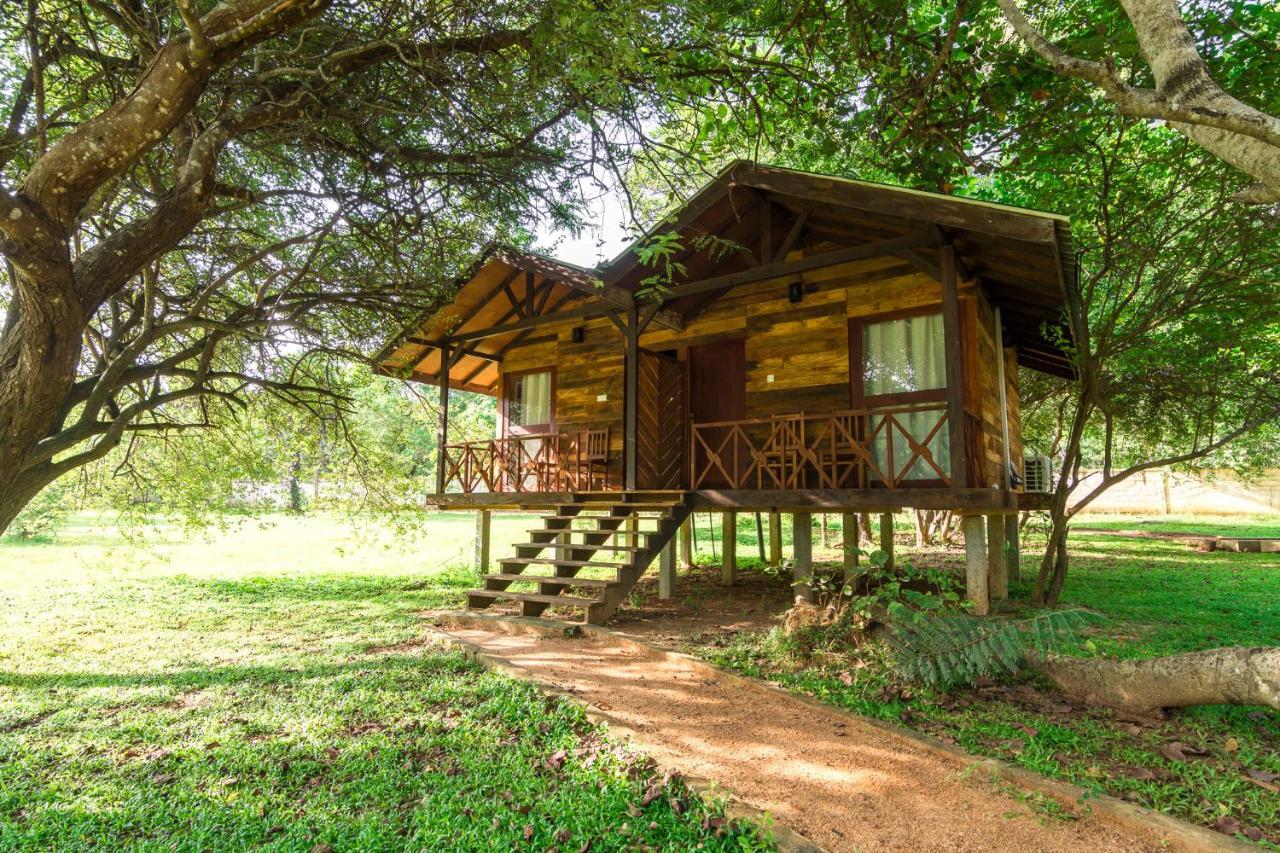 Eighth Wonder Resort Sigiriya Exterior foto