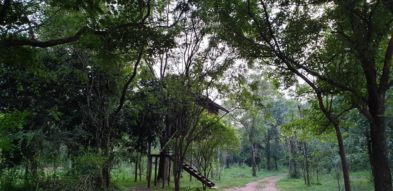 Eighth Wonder Resort Sigiriya Exterior foto