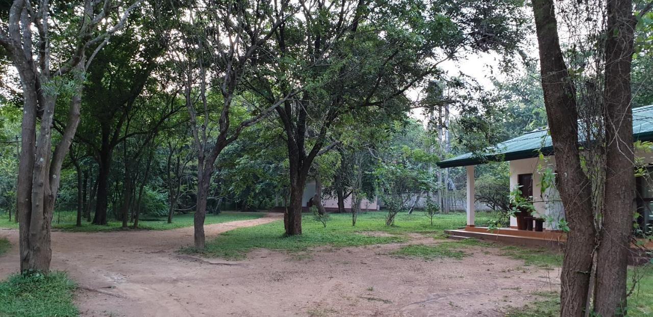 Eighth Wonder Resort Sigiriya Exterior foto