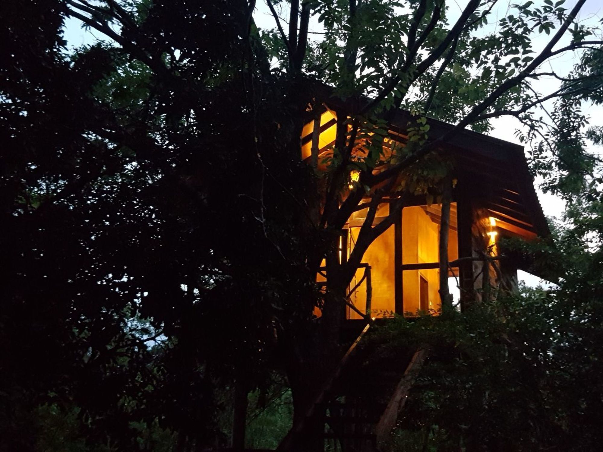 Eighth Wonder Resort Sigiriya Exterior foto