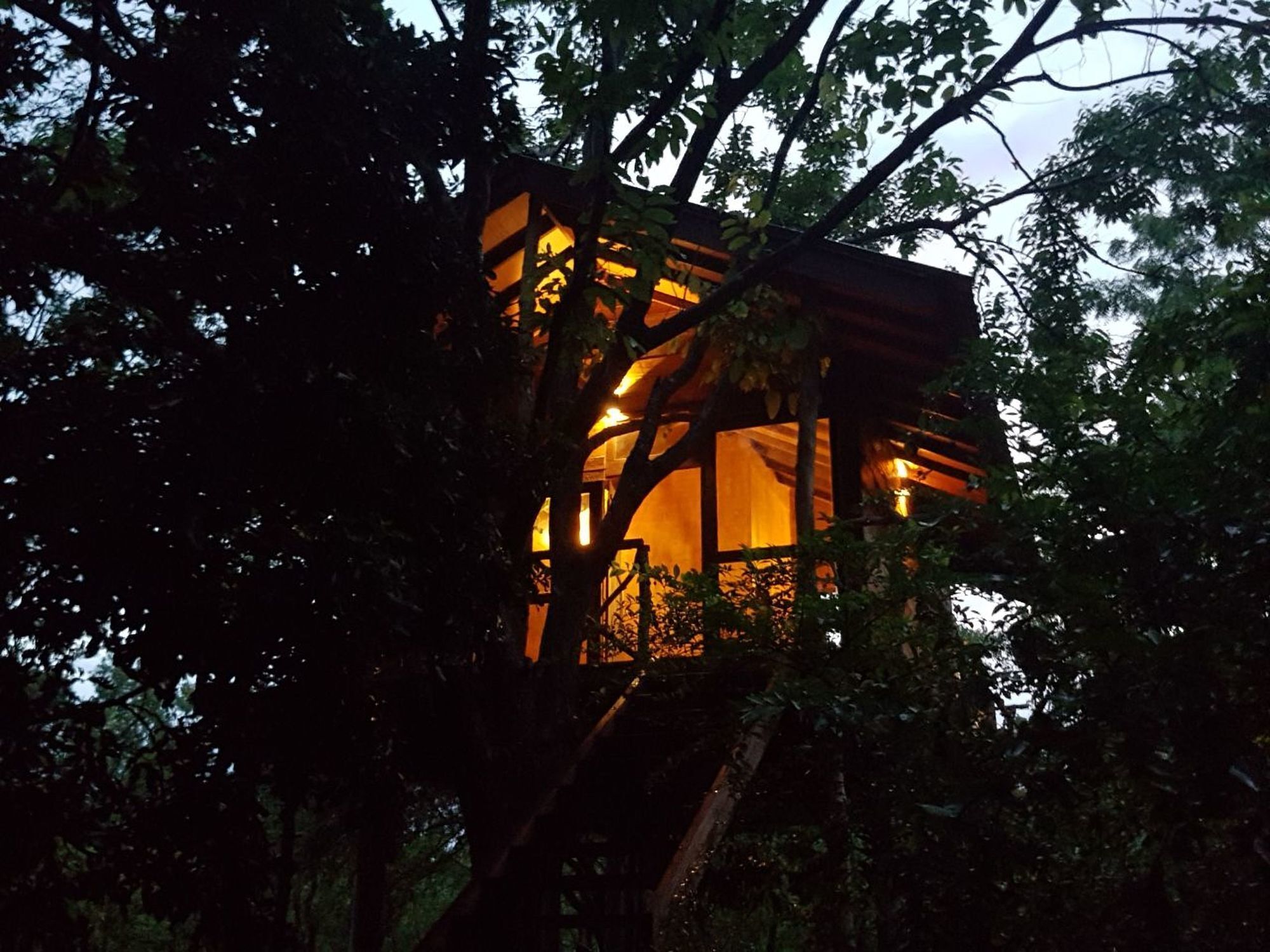 Eighth Wonder Resort Sigiriya Exterior foto