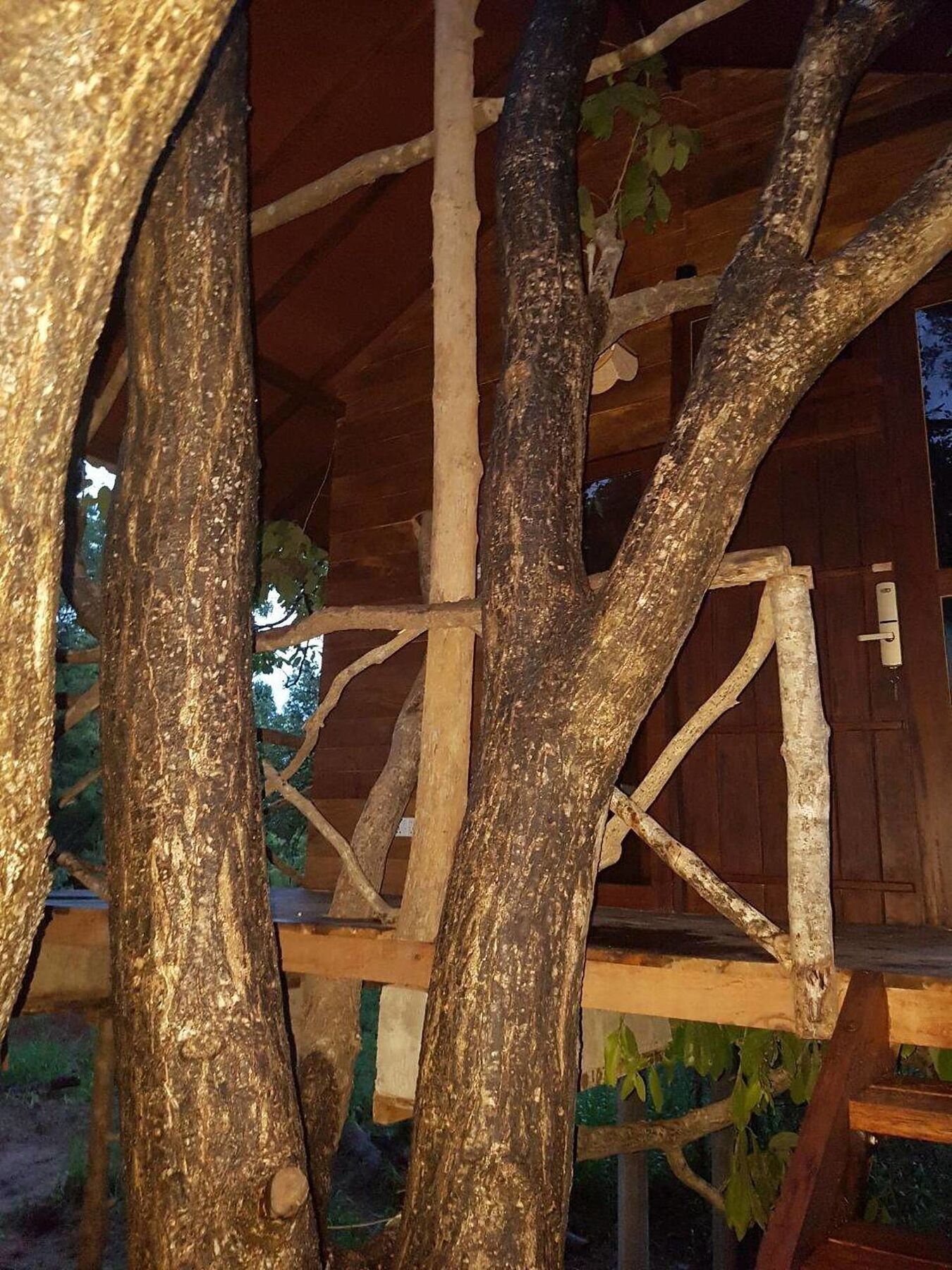 Eighth Wonder Resort Sigiriya Exterior foto